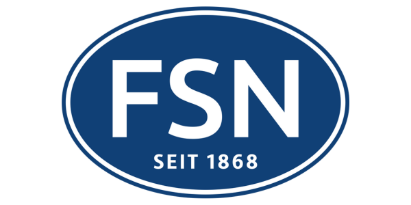 FSN Autohaus GmbH & Co. KG